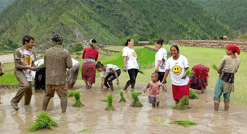 आज असार १५: धान दिवस मनाइदैँ